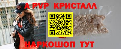 амф Донской
